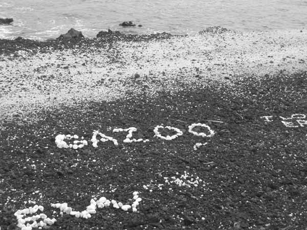 砂浜に貝殻を使って描かれた文字
